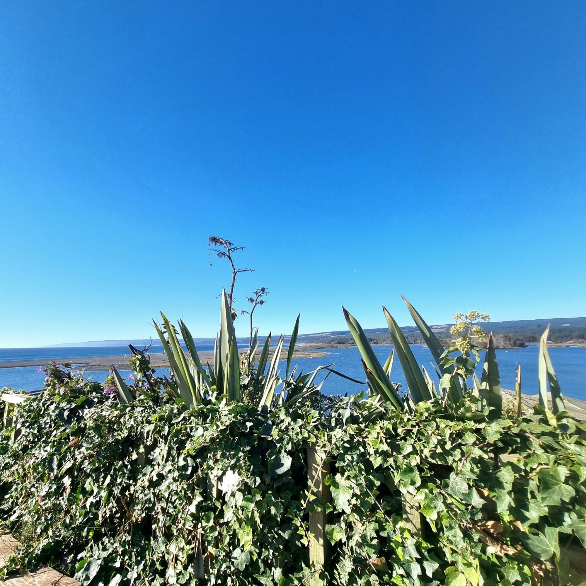 Max & Mar Pichilemu Hotel Exterior foto